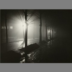 Regrets That Haunt (a duct-ape mix-tape)
