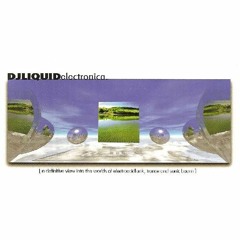 DJ Liquid - Electronica