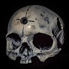 Untitled Playlist