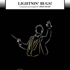 CB-1048_Lightnin' Bugs