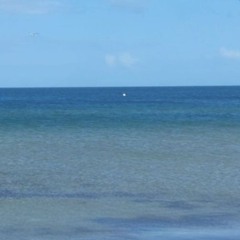 vamos a la playa 2.0