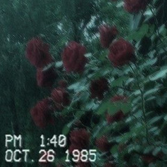 "ROSE" - Lil Peep X Juice WRLD Type Beat