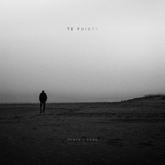 Te Fuiste