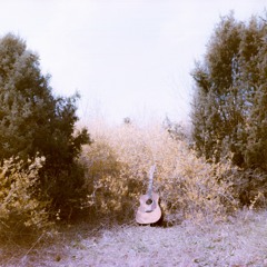 old summer riff / a seed grows