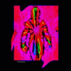FACE IN THE SOIL (feat. Kamiyada+)