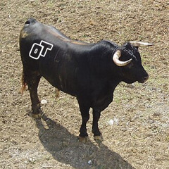 Tauro