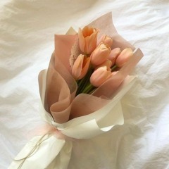 Chiết chi hoa mãn y - 折枝花满衣
