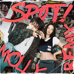 ZICO, JENNIE - SPOT! (Molly Mi Remix)