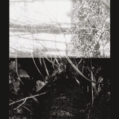 Dreaming While Dreaming