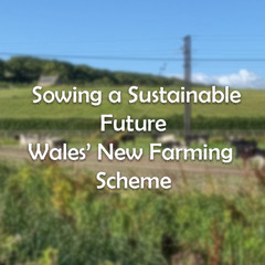 Sowing a Sustainable Future - Wales' New Farming Scheme