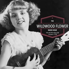 Show #25 with Jordan Hook, June Clivas & the Ditty Boys, and Kyle Wyman: July 7.11.23