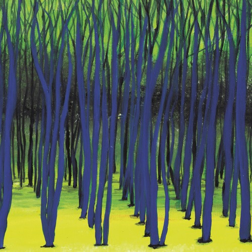 Tim Engelhardt - Brought To Bare