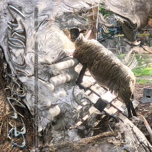 Tentacity 09/23 by Ida Elastix