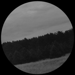 Nicolas Barnes - Back To Roots (Valts Incis Revision)