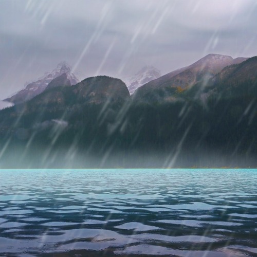 Rain White Noise + Water Sounds For Relaxation & Sleep (75 Minutes)