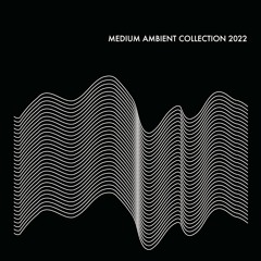 Medium Ambient Collection 2022 BLACK