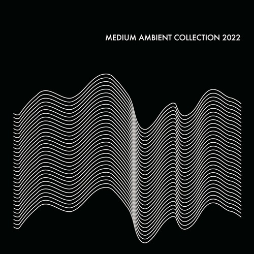 邦楽 MEDIUM AMBIENT COLLECTION 2022 2CD Medium Ambient Collection 2022 (physical only) | V.A | medium