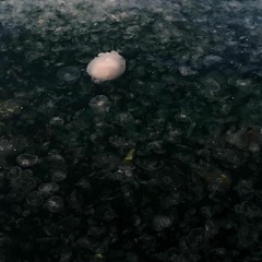 Jeanne & Elias's luv potion