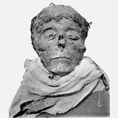 ANCIENT ROYALTY 📜👸🤴