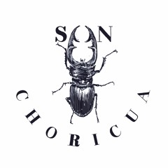 Irresistible - Son Choricua