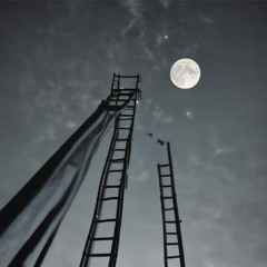 Climbing The Ladder