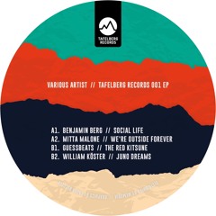 Various Artists // TAFELBERGRECORDS001