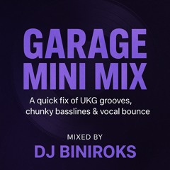Biniroks -Garage MiniMix 25