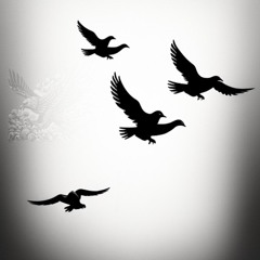 Lemmefly p.jovinaxpy