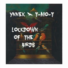 Ynnek & T-mo-T - Lockdown Of The Birds