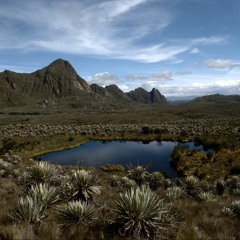 Viento del páramo (Río Tunjuelo)