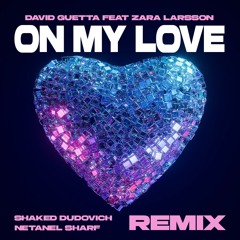 David Guetta & Zara Larsson - On My Love (Shaked Dudovich X Netanel Sharf Remix)