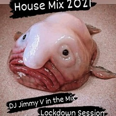Live HOUSE FISH MIX 2021 BY DEEJAY JIMMY V