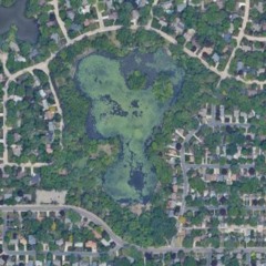 untitled love (peril)