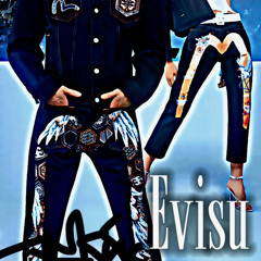 HERevisu