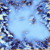 Artwork for Spearmint