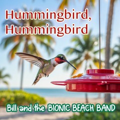 Hummingbird, Hummingbird