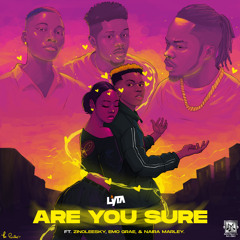 Are You Sure (feat. Emo Grae, Naira Marley & Zinoleesky)