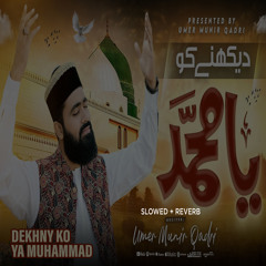 Dekhny Ko Ya Muhammad Lofi Version