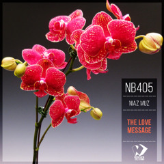 Niaz Muz - Dreams (Original Mix)