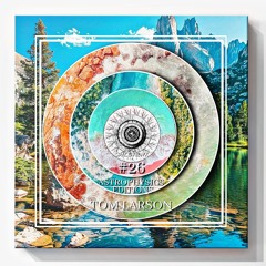 SPACE VIEWX [Astrophysics Editions] [#26] Tom Larson (Germany, Dub Techno)