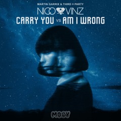 Martin Garrix - Carry You vs Am I Wrong