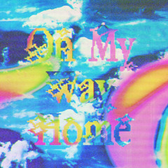 Sarah Wild - On My Way Home
