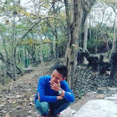 Pelindung jiwa