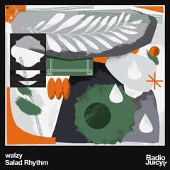 walzy - Salad Rhythm