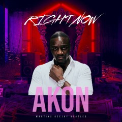 Akon - Right Now (Martin's Deejay Bootleg)[Filtered]