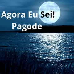 AGORA  EU SEI