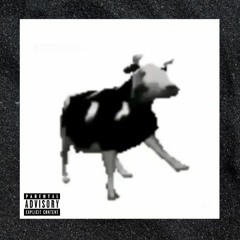 🅴 Polish Cow