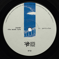 Mr. Particular