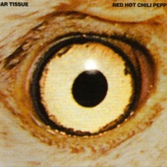 Red Hot Chili Peppers - Gong Li ( Scar Tissue B-Side)