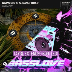Quintino & Thomas Gold X TBR - Quechua Basslove (AY3L Extended Bootleg)